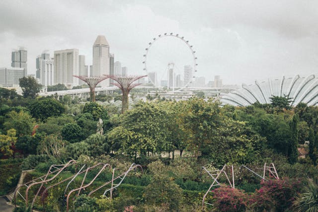 singapore-city-view
